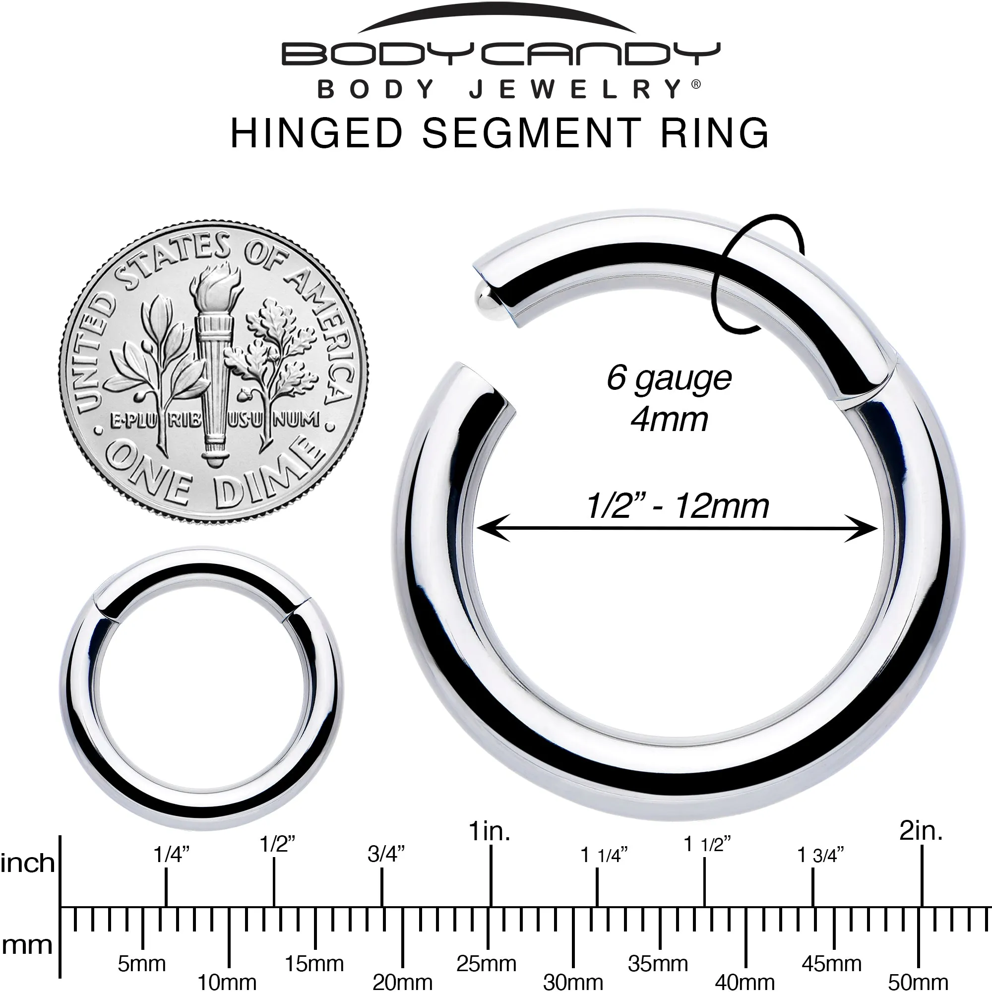 10 Gauge 1/2 316L Surgical Steel Precision Hinged Segment Hoop