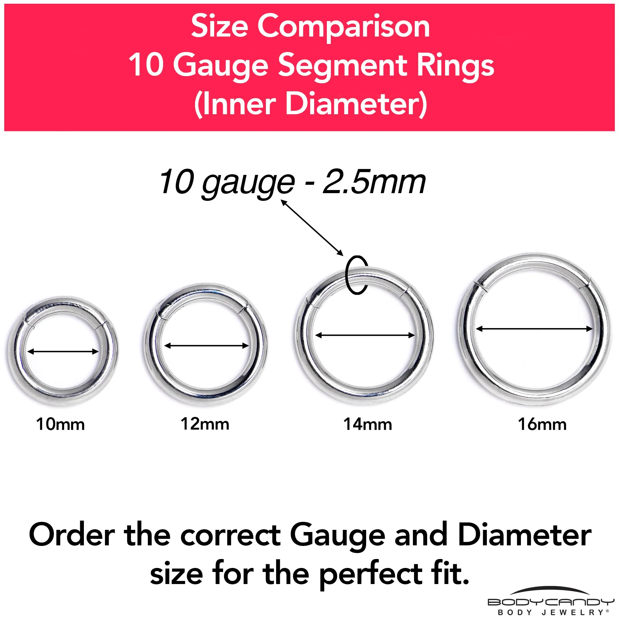 10 Gauge 1/2 316L Surgical Steel Precision Hinged Segment Hoop