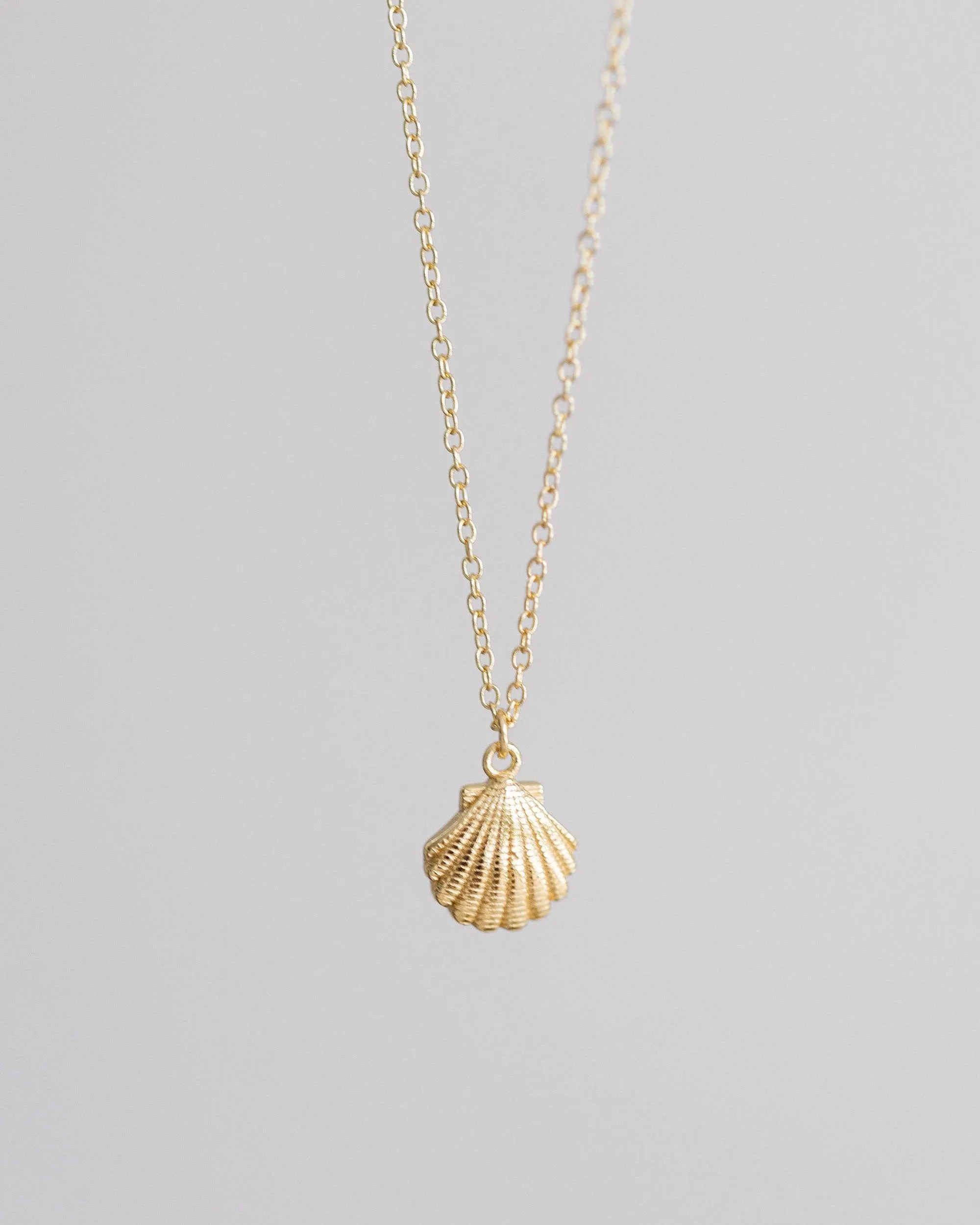 Coast and Cove - Gold Scallop Necklace